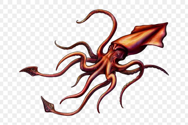 Kraken маркетплейс официальный