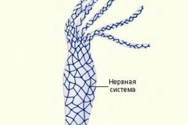 Регистрация на сайте кракен