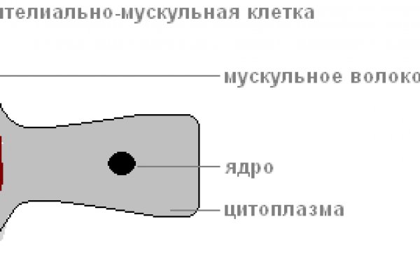 Кракен ссылка тупа германия